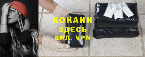 дживик Новодвинск